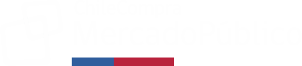 Mercado Público