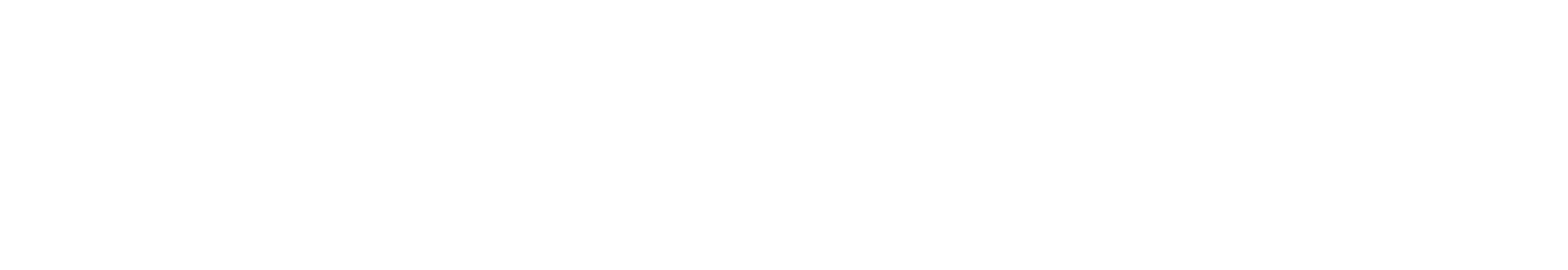 Red de Negocios