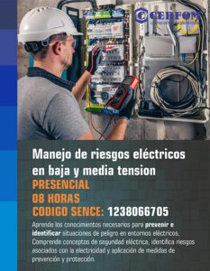 Manejo de riesgos electricos en baja y media tension